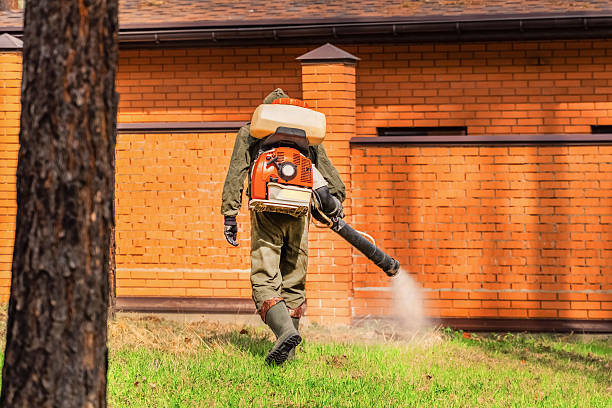 Bed Bug Clearance Verification and Documentation in Hampton